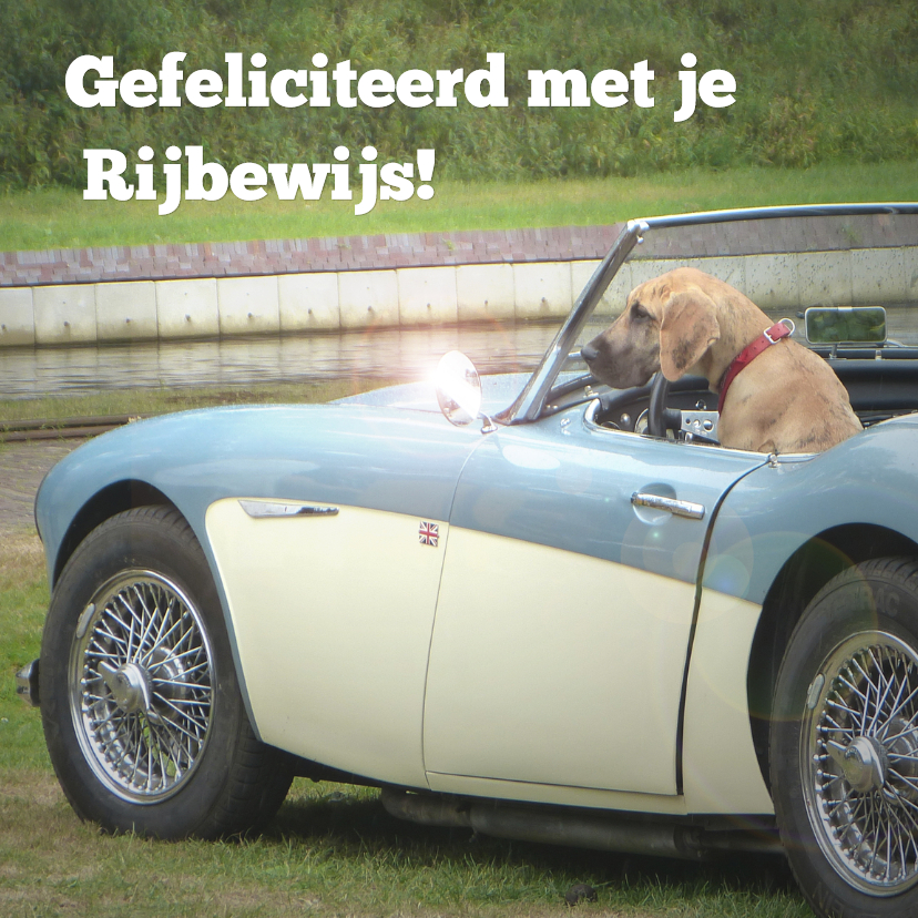 Geslaagd Rijbewijs - vintage - Geslaagd kaarten Geslaagd kaarten - Geslaagd Rijbewijs - vintage
