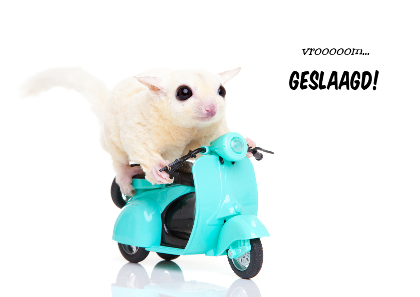 Geslaagd kaarten - Geslaagd | Rijbewijs | Vrooom de snelle sugar glider