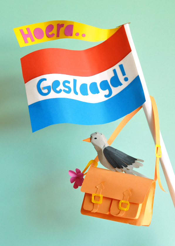 Geslaagd vlag met vogeltje - Geslaagd kaarten Geslaagd kaarten - Geslaagd vlag met vogeltje