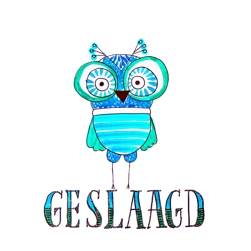 Geslaagdkaart uiltje blauw - Geslaagd kaarten Geslaagd kaarten - Geslaagdkaart uiltje blauw