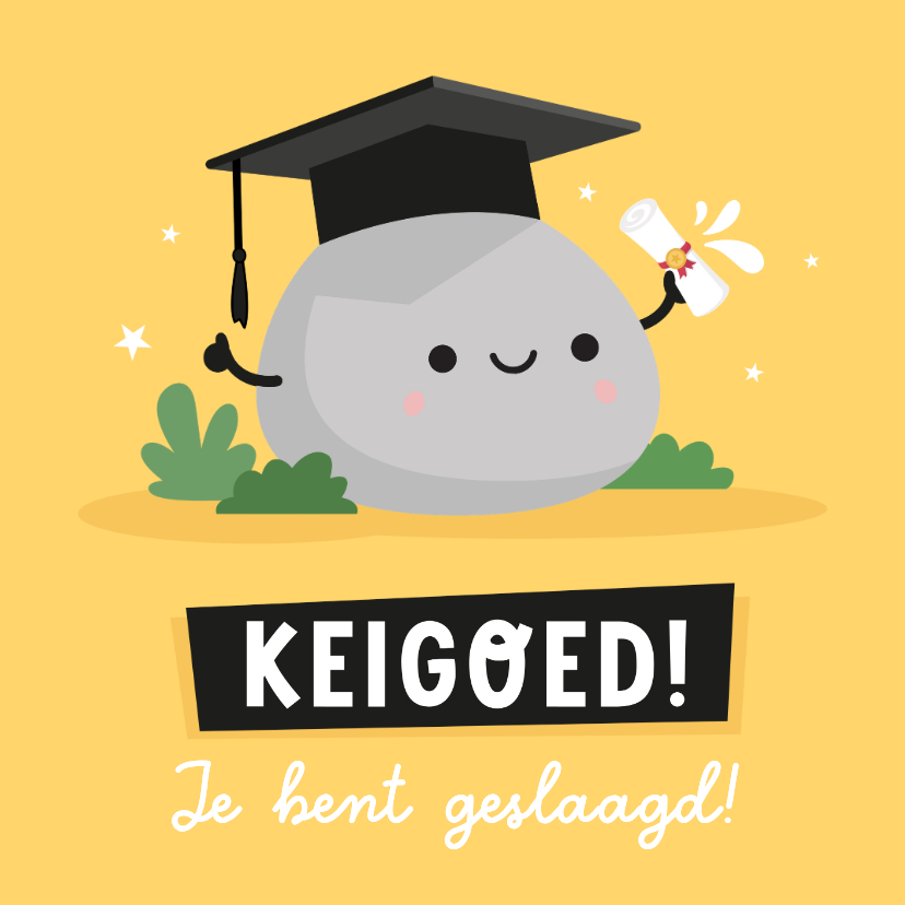 Grappige geslaagd kaart 'keigoed' met steen met oogjes - Geslaagd kaarten Geslaagd kaarten - Grappige geslaagd kaart 'keigoed' met steen met oogjes