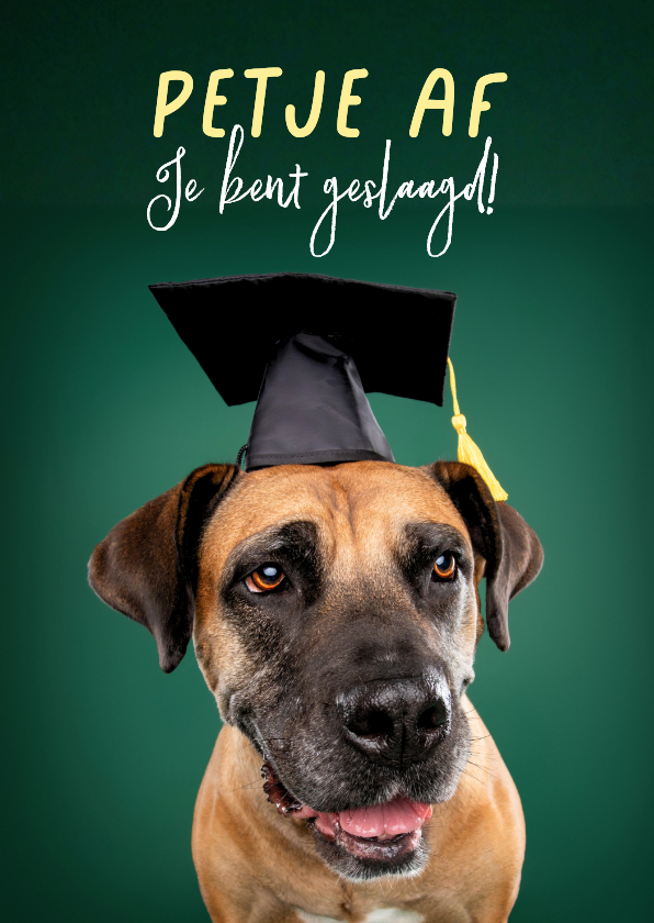 Geslaagd kaarten - Grappige geslaagd kaart stoere hond met geslaagd hoedje