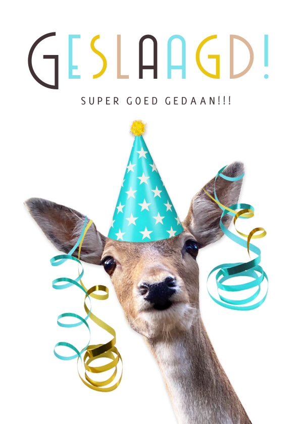 Geslaagd kaarten - Grappige geslaagdkaart met giraf met feesthoedje op
