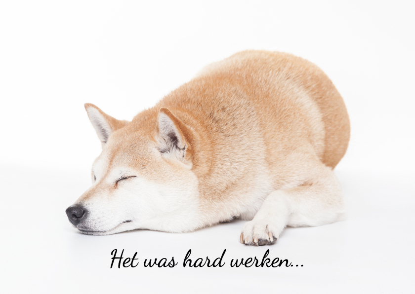 Hard gewerkt en geslaagd! - Geslaagd kaarten Geslaagd kaarten - Hard gewerkt en geslaagd!