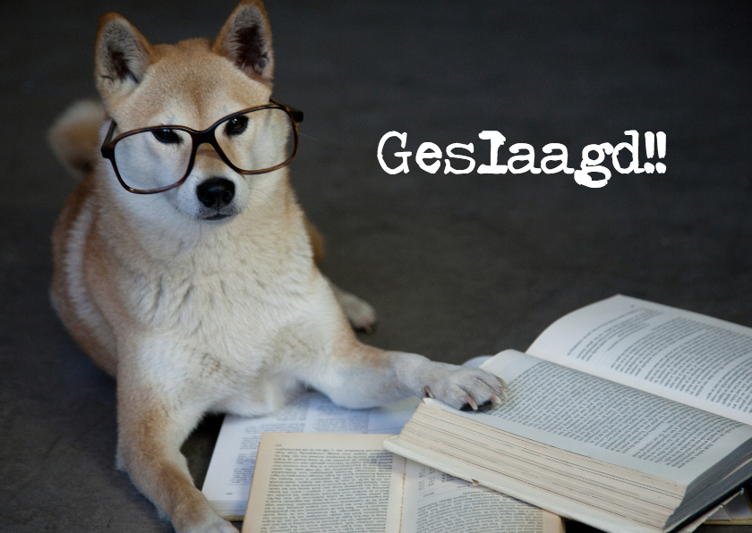Harige studiebol liggend - Geslaagd kaarten Geslaagd kaarten - Harige studiebol liggend