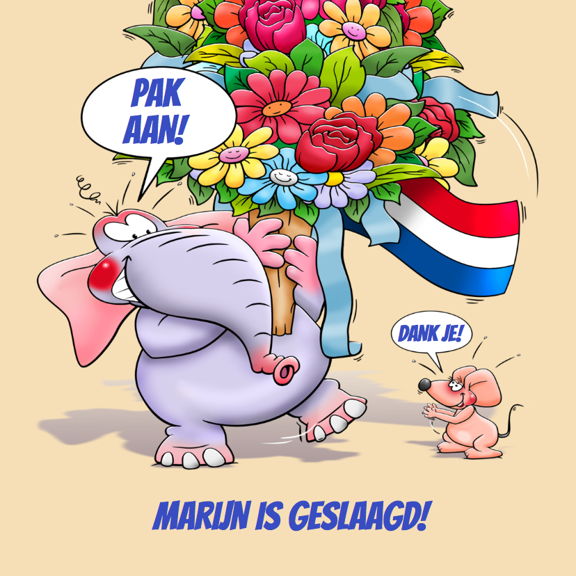 Leuke geslaagd kaart olifant met bos bloemen en klein muisje - Geslaagd kaarten Geslaagd kaarten - Leuke geslaagd kaart olifant met bos bloemen en klein muisje