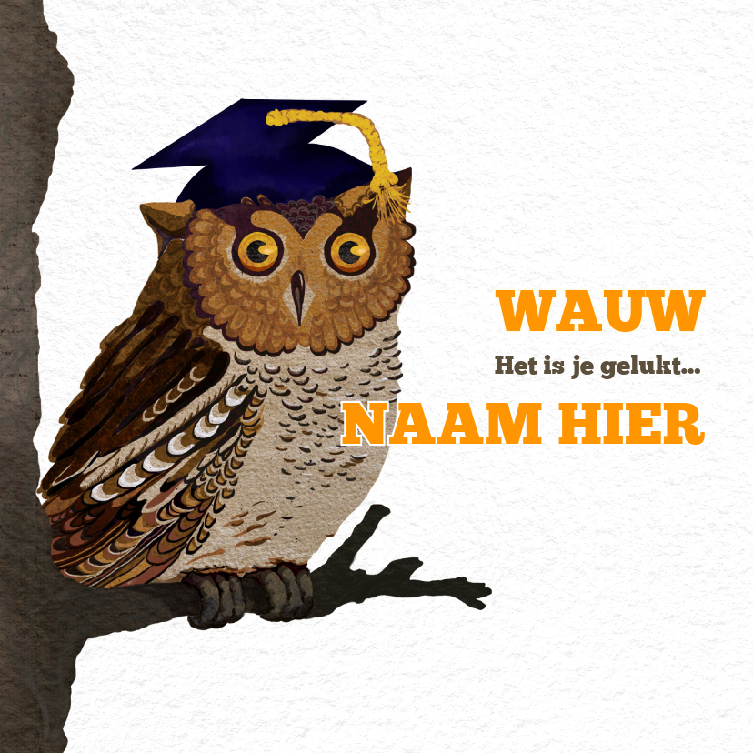 Stijlvolle felicitatiekaart met uil - Geslaagd kaarten Geslaagd kaarten - Stijlvolle felicitatiekaart met uil
