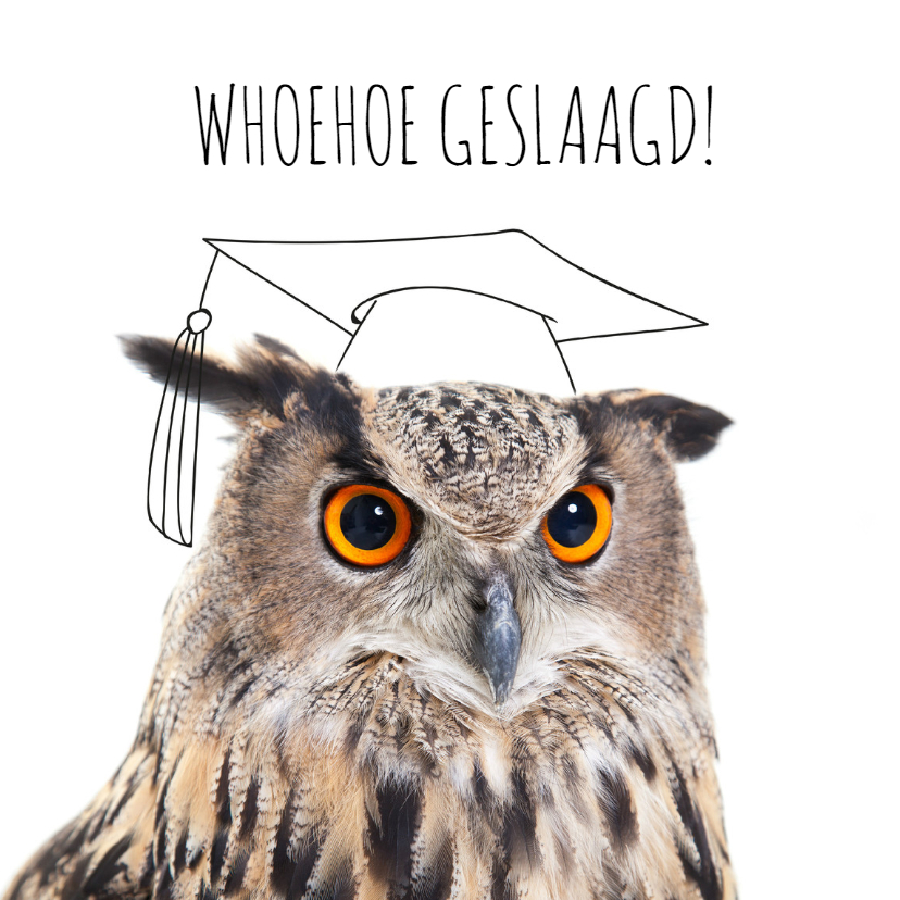 Geslaagd kaarten - Whoehoe Geslaagd!