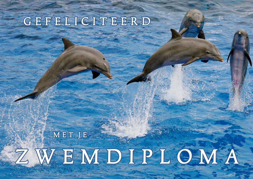 Zwemdiploma 4 - Dolfijn - OT - Geslaagd kaarten Geslaagd kaarten - Zwemdiploma 4 - Dolfijn - OT