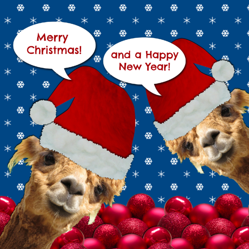 Alpaca tweeling viert Kerstmis - Kerstkaarten Kerstkaarten - Alpaca tweeling viert Kerstmis