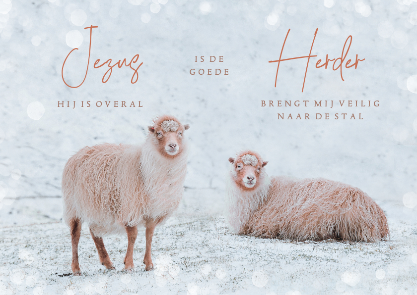 Kerstkaarten - Christelijke kerstkaart met schapen en een songtekst
