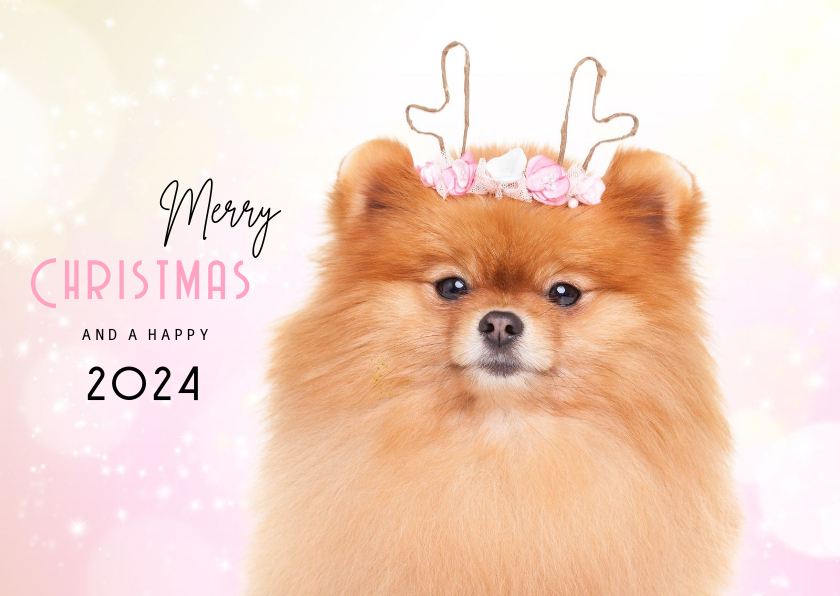 Dieren Kerstkaart - Pomeranian rendier roze - Kerstkaarten Kerstkaarten - Dieren Kerstkaart - Pomeranian rendier roze