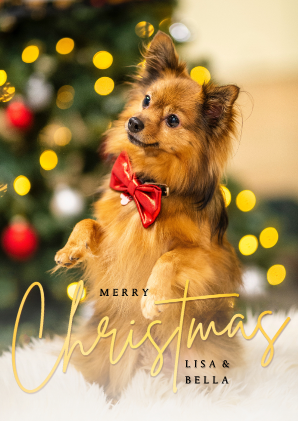 Foto-kerstkaart met staande foto als enkele kaart - Kerstkaarten Kerstkaarten - Foto-kerstkaart met staande foto als enkele kaart