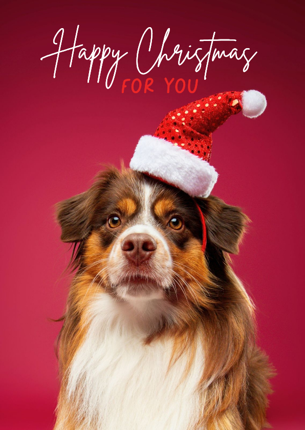 Kerstkaarten - Grappige kerstkaart hond met kerstmuts