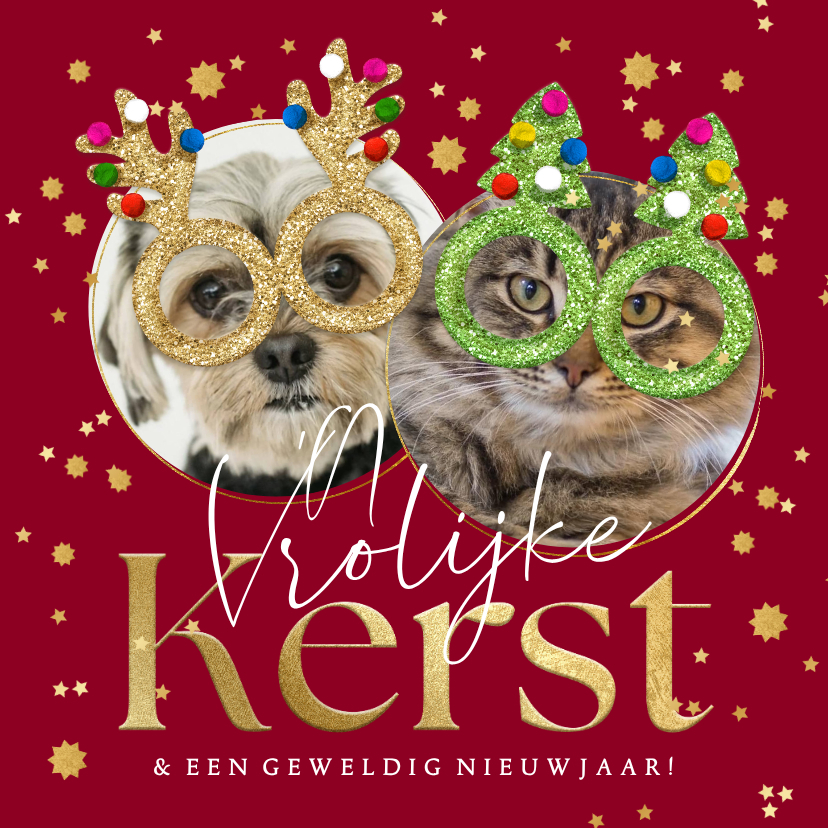 Grappige kerstkaart kerstbrillen glitter huisdier sterren - Kerstkaarten Kerstkaarten - Grappige kerstkaart kerstbrillen glitter huisdier sterren