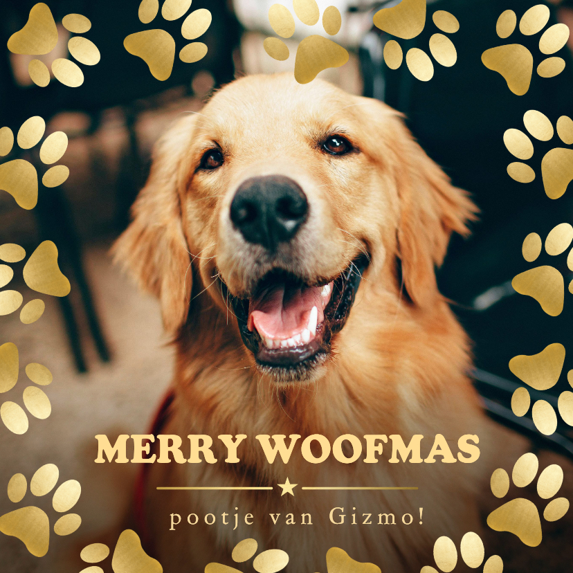 Grappige kerstkaart met grote foto verstuurd door je hond - Kerstkaarten Kerstkaarten - Grappige kerstkaart met grote foto verstuurd door je hond