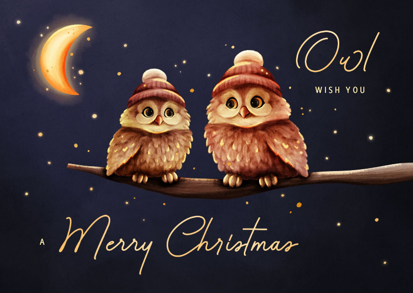 Grappige kerstkaart owl wish you uiltjes met maan - Kerstkaarten Kerstkaarten - Grappige kerstkaart owl wish you uiltjes met maan