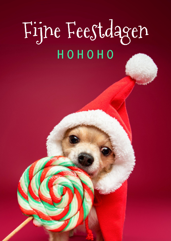 Grappige kerstkaart van hond met kerstmuts en lolly - Kerstkaarten Kerstkaarten - Grappige kerstkaart van hond met kerstmuts en lolly