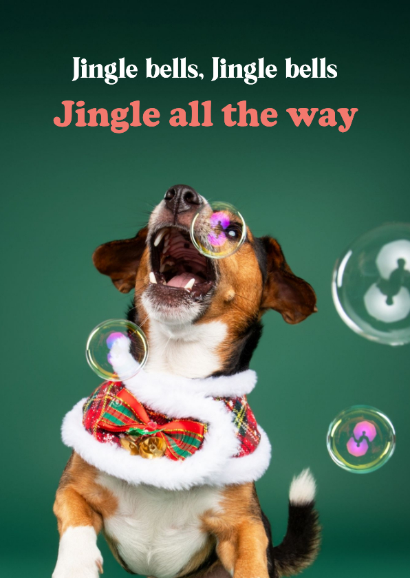 Grappige kerstkaart van hondje met jingle bellenblaas - Kerstkaarten Kerstkaarten - Grappige kerstkaart van hondje met jingle bellenblaas