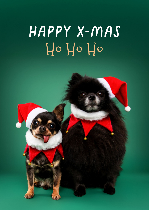 Grappige kerstkaart van hondjes met kerstmuts op - Kerstkaarten Kerstkaarten - Grappige kerstkaart van hondjes met kerstmuts op