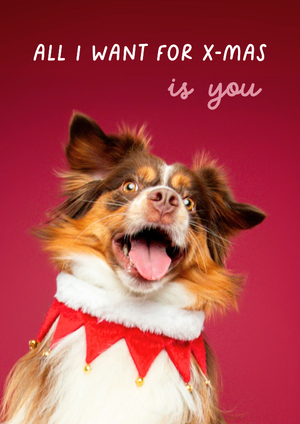 Grappige kerstkaart van vrolijk springende hond - Kerstkaarten Kerstkaarten - Grappige kerstkaart van vrolijk springende hond