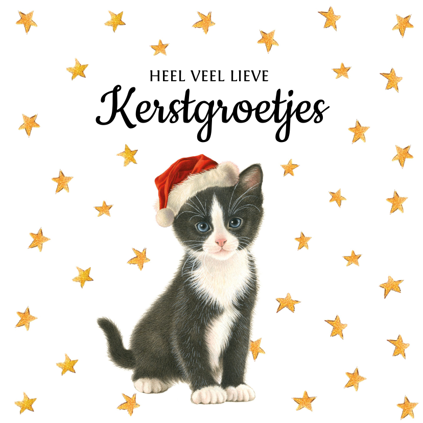 Kerstkaarten - Heel veel kerststerretjes en en lief kerstpoesje