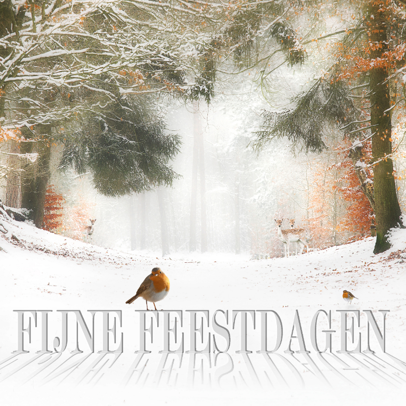 Hertjes in de sneeuw - Kerstkaarten Kerstkaarten - Hertjes in de sneeuw