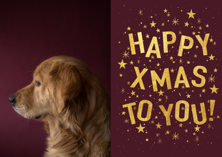 Hippe kerstkaart met gouden typografie, sterren en foto - Kerstkaarten Kerstkaarten - Hippe kerstkaart met gouden typografie, sterren en foto