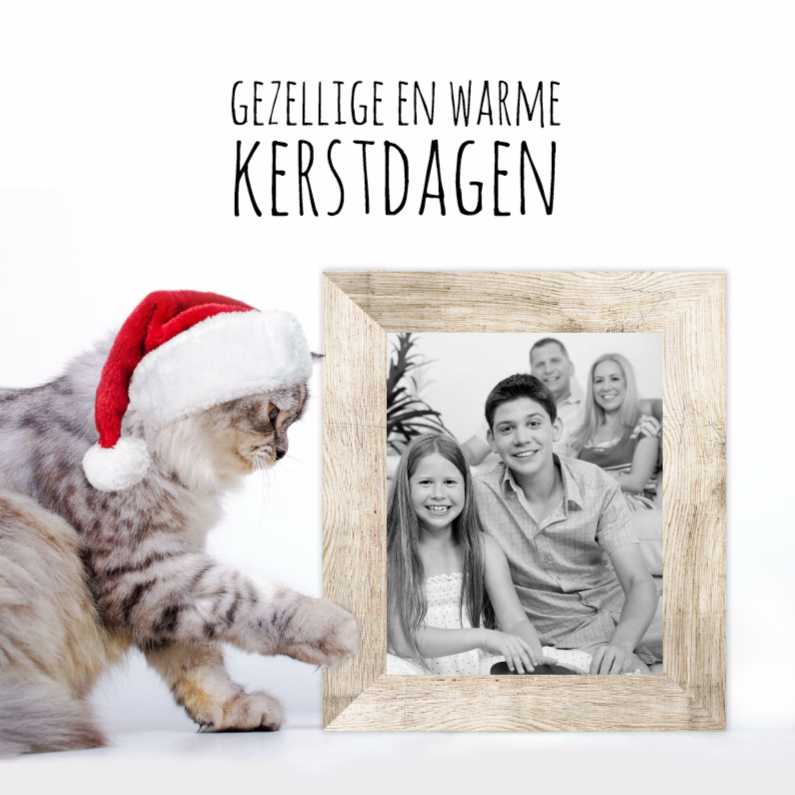 Kerstkaarten - Kat, kerstmuts en fotolijst-isf