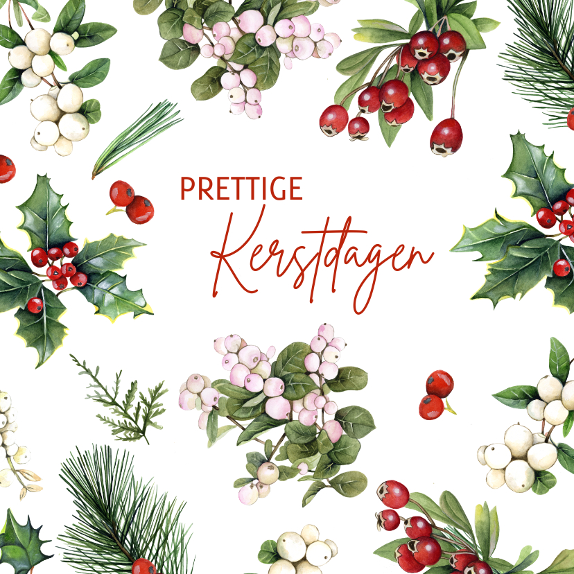 Kerst botanische takjes - Kerstkaarten Kerstkaarten - Kerst botanische takjes