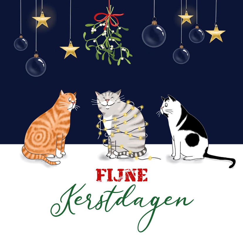 Kerst- drie katten onder mistletoe |