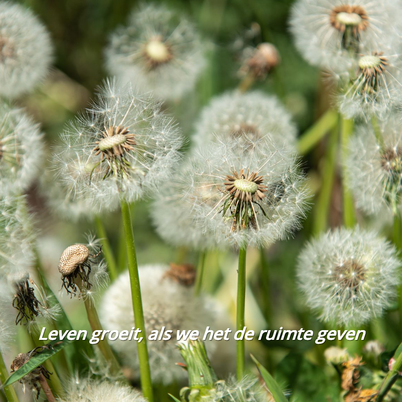Kerstkaarten - Kerst- en nieuwjaarskaart Land van Ons