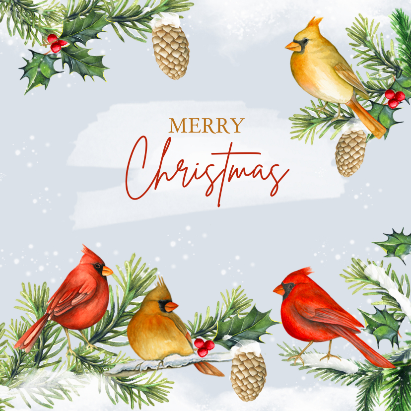 Kerst kardinaalvogeltjes - Kerstkaarten Kerstkaarten - Kerst kardinaalvogeltjes