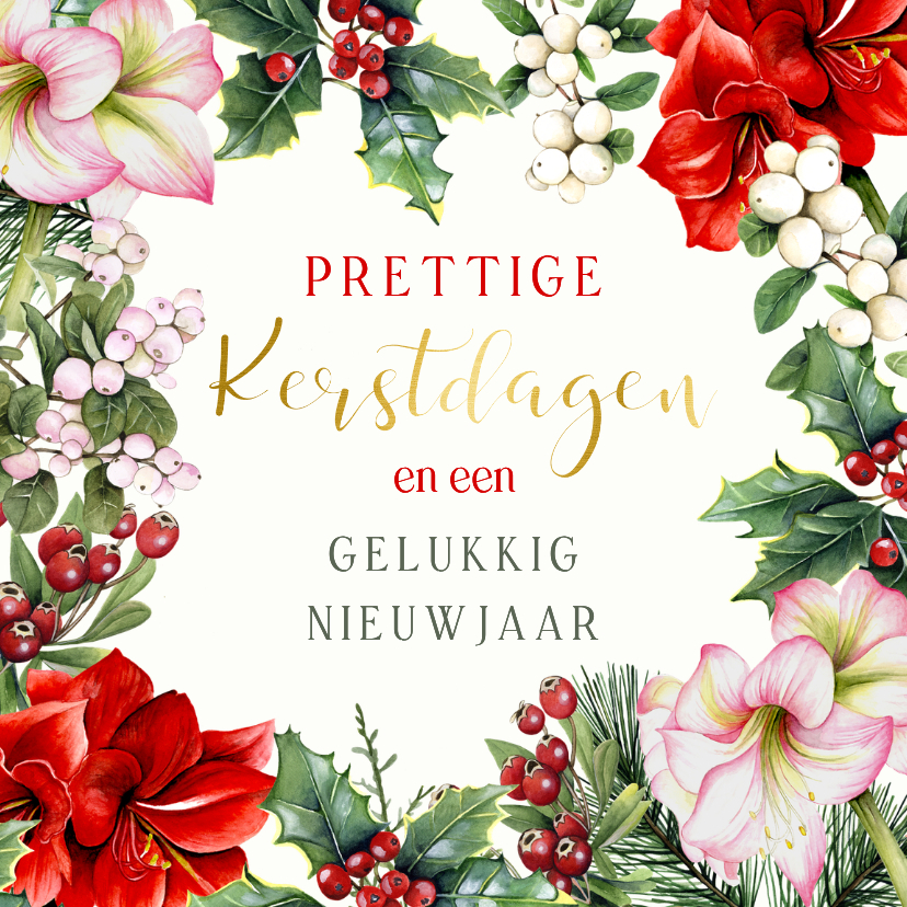 Kerstkaart amaryllissen - Kerstkaarten Kerstkaarten - Kerstkaart amaryllissen