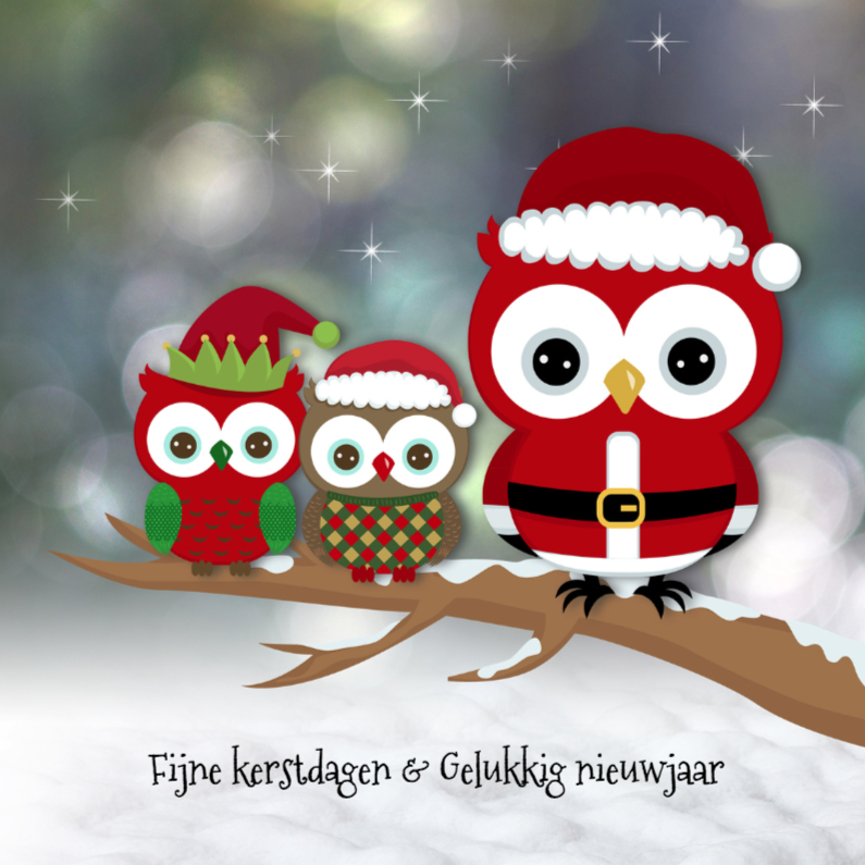 Kerstkaart CliniClowns Uiltjes - Kerstkaarten Kerstkaarten - Kerstkaart CliniClowns Uiltjes