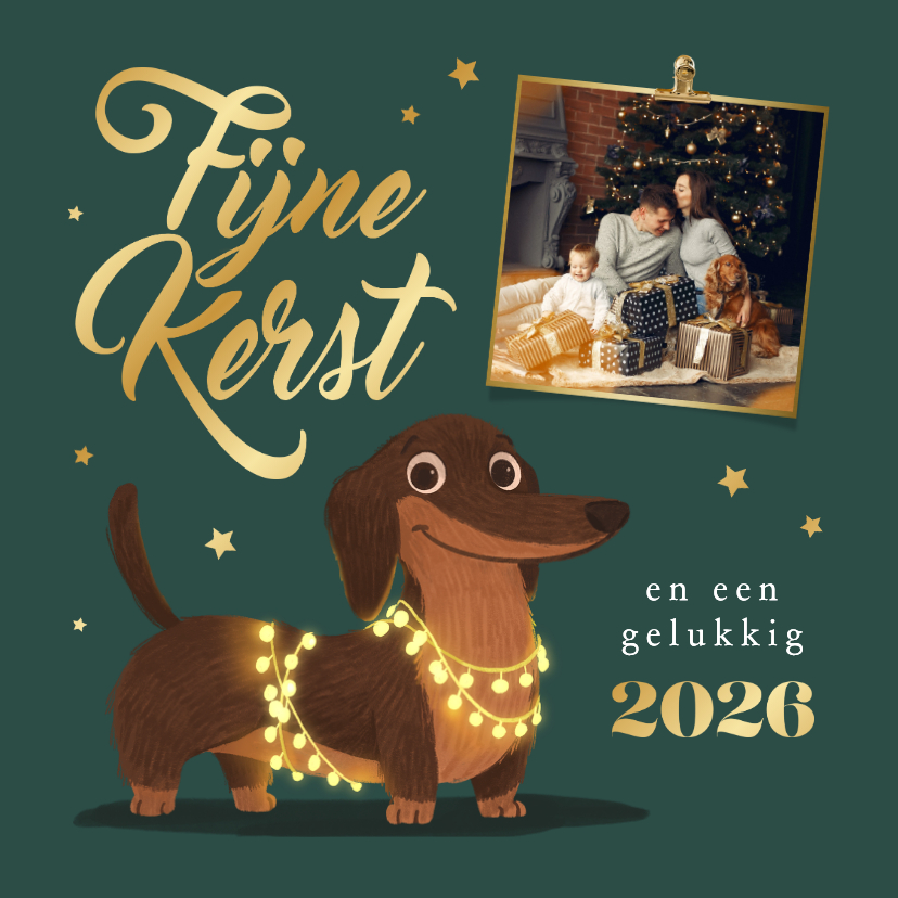 Kerstkaart foto teckel sterren goud fijne kerst lampjes - Kerstkaarten Kerstkaarten - Kerstkaart foto teckel sterren goud fijne kerst lampjes