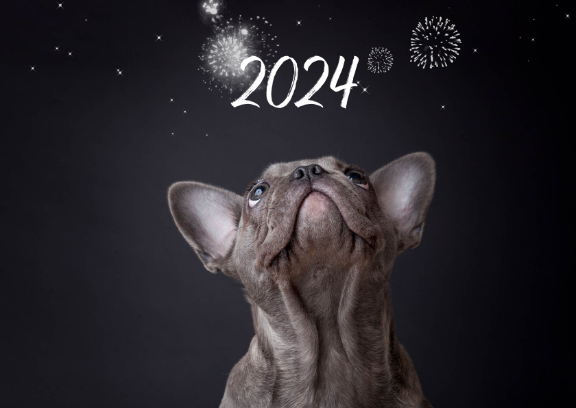 Kerstkaart - Franse Bulldog vuurwerk - Kerstkaarten Kerstkaarten - Kerstkaart - Franse Bulldog vuurwerk