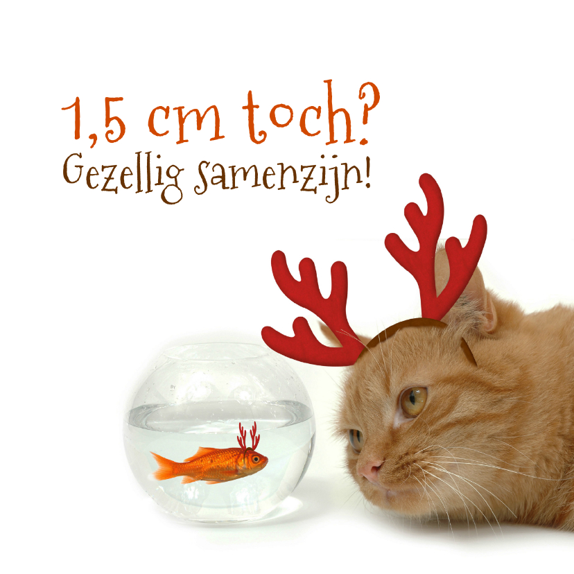 Kerstkaart goudvis en kat - Kerstkaarten Kerstkaarten - Kerstkaart goudvis en kat