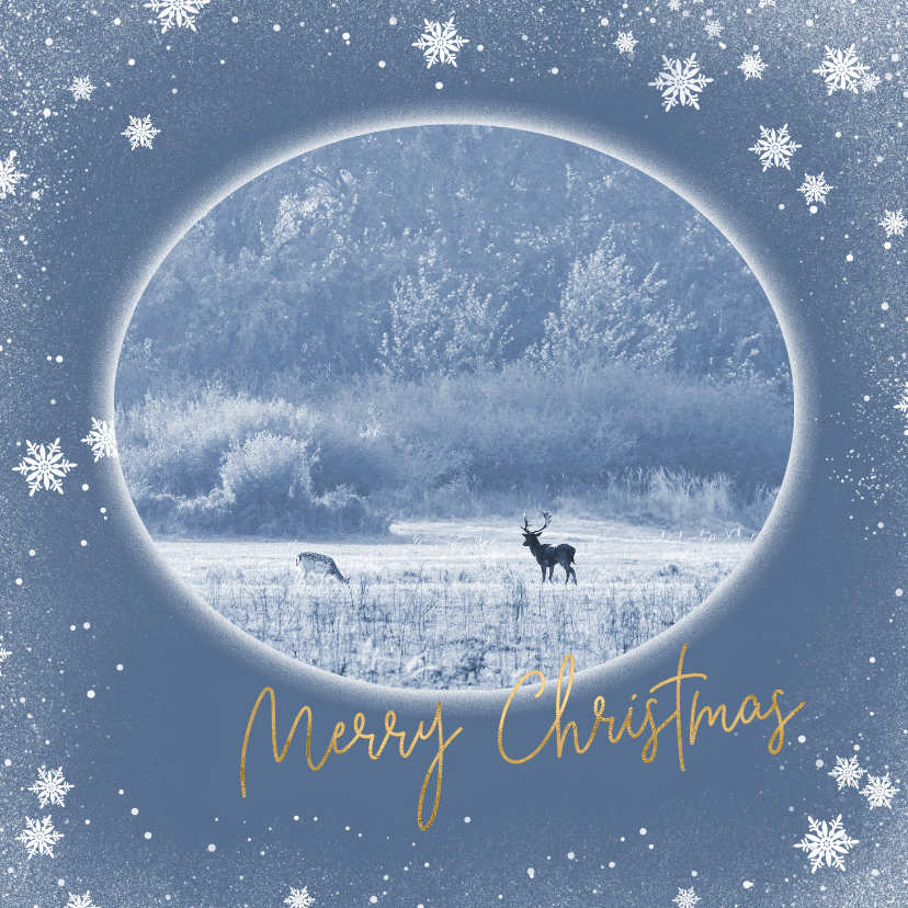 Kerstkaart hertenpaar in de natuur - Kerstkaarten Kerstkaarten - Kerstkaart hertenpaar in de natuur