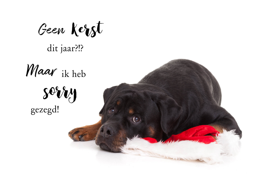 Kerstkaarten - Kerstkaart hond Rottweiler met kerstmuts van de kerstman