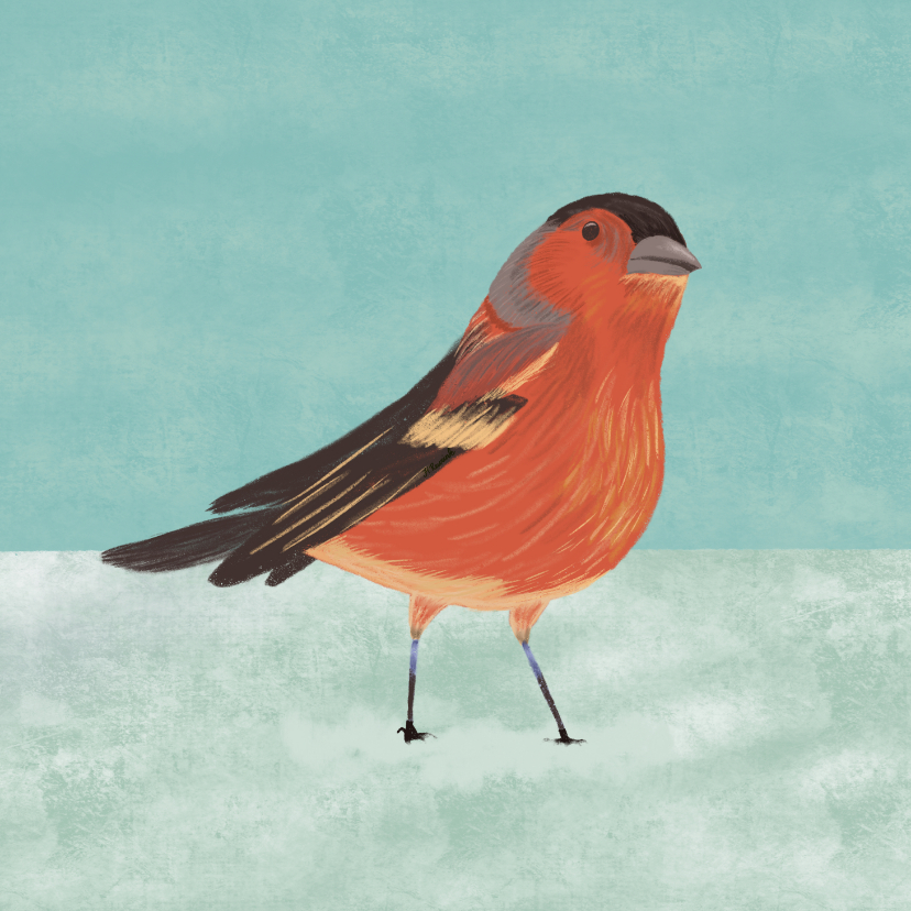 Kerstkaart illustratie vogeltje in sneeuw - Kerstkaarten Kerstkaarten - Kerstkaart illustratie vogeltje in sneeuw