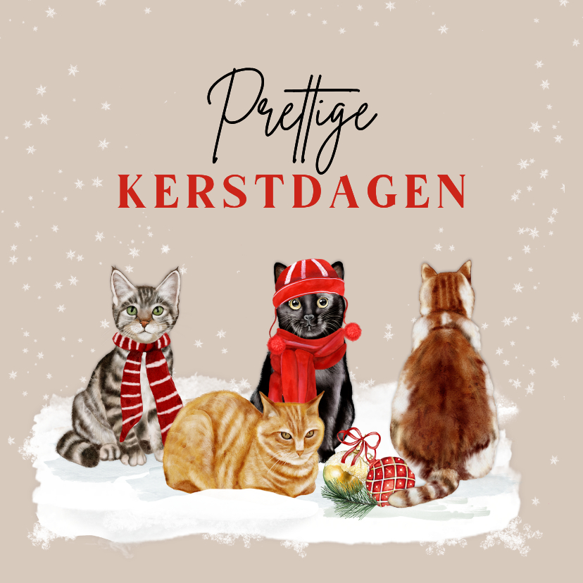 Kerstkaart katten in de sneeuw - Kerstkaarten Kerstkaarten - Kerstkaart katten in de sneeuw