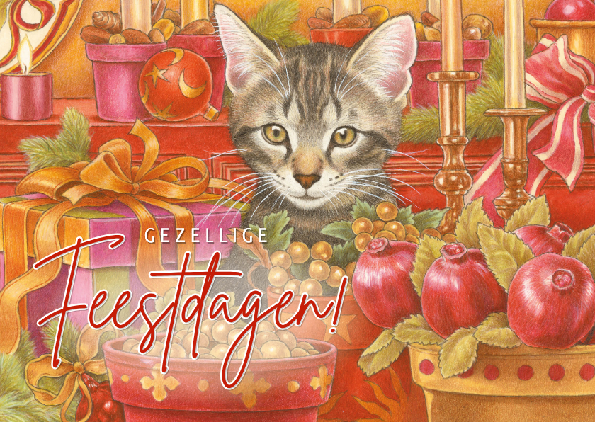 Kerstkaarten - Kerstkaart kitten tussen kerstkadootjes