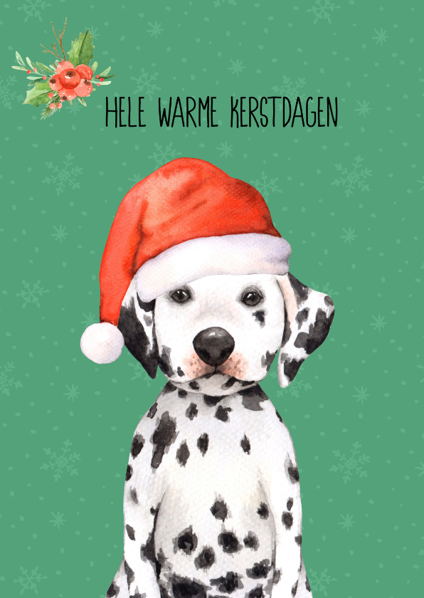 Kerstkaart met een dalmatiër hond met een kerstmuts op - Kerstkaarten Kerstkaarten - Kerstkaart met een dalmatiër hond met een kerstmuts op