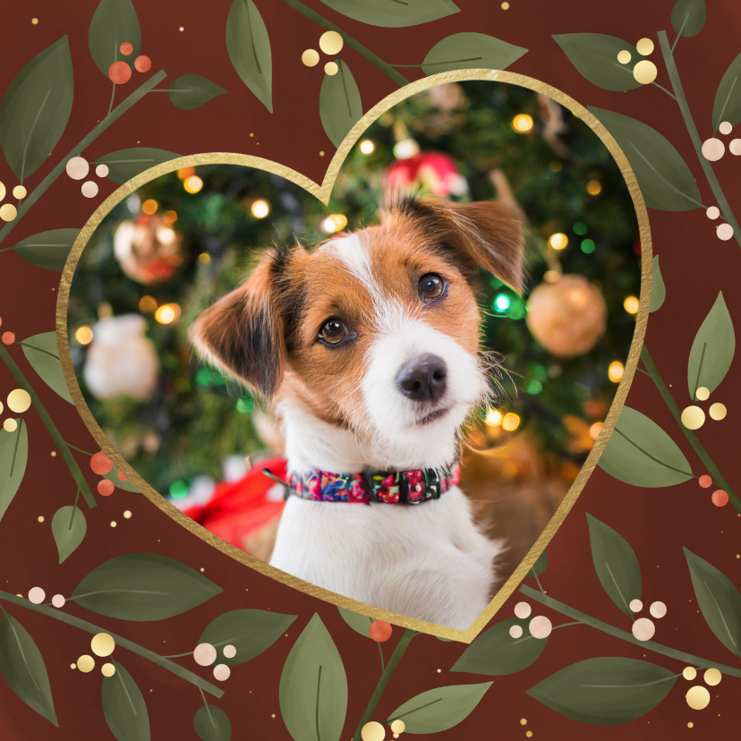 Kerstkaarten - Kerstkaart met eigen foto hond en kersttakjes zonder tekst