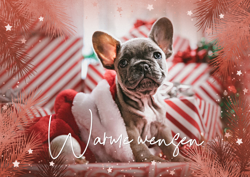 Kerstkaarten - Kerstkaart met foto en kersttakken en sterretjes