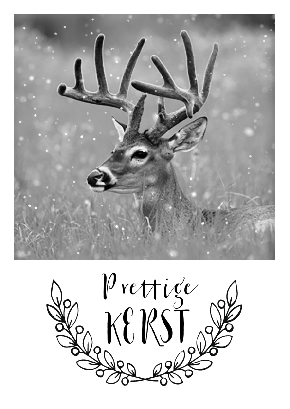 Kerstkaart met foto van een hert - Kerstkaarten Kerstkaarten - Kerstkaart met foto van een hert