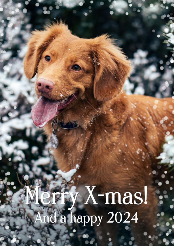 Kerstkaart met foto van hond en sneeuwvlokjes - Kerstkaarten Kerstkaarten - Kerstkaart met foto van hond en sneeuwvlokjes