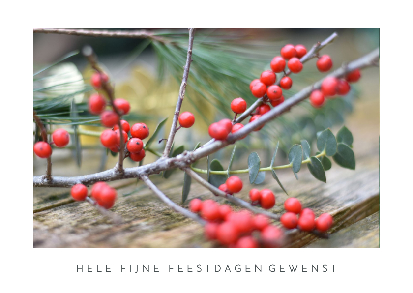 Kerstkaart met foto van takje met rode besjes - Kerstkaarten Kerstkaarten - Kerstkaart met foto van takje met rode besjes
