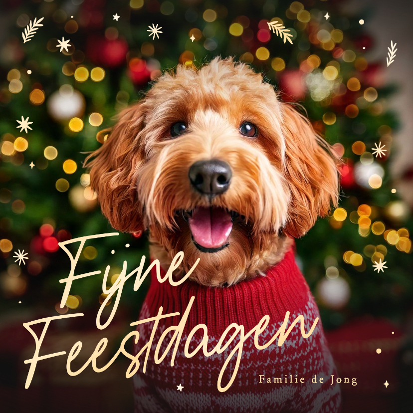Kerstkaarten - Kerstkaart met grote foto van je huisdier en gouden sterren